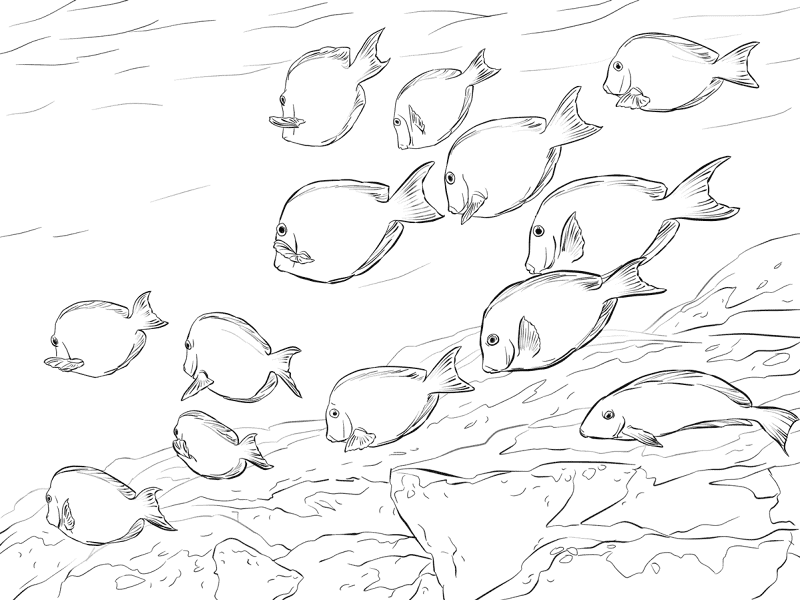 Desenho de Oceano para colorir e imprimir: número 5