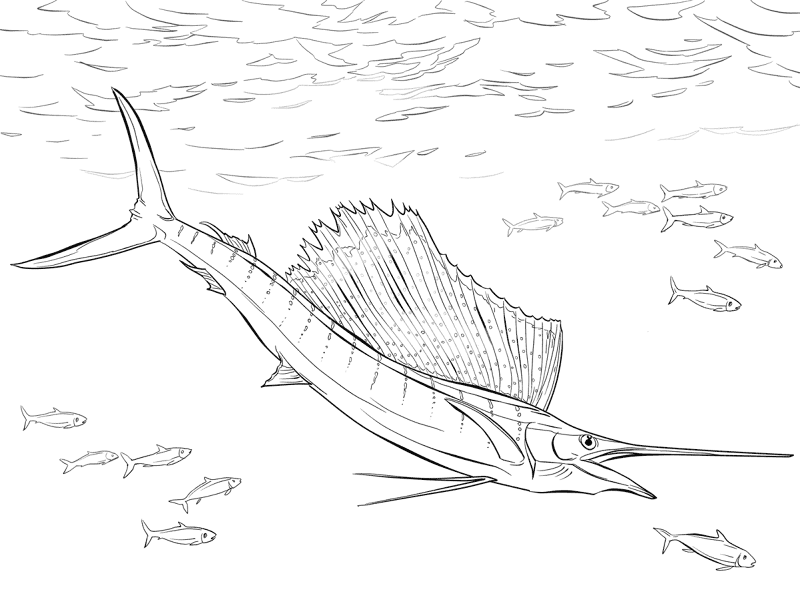 Desenho de Oceano para colorir e imprimir: número 6