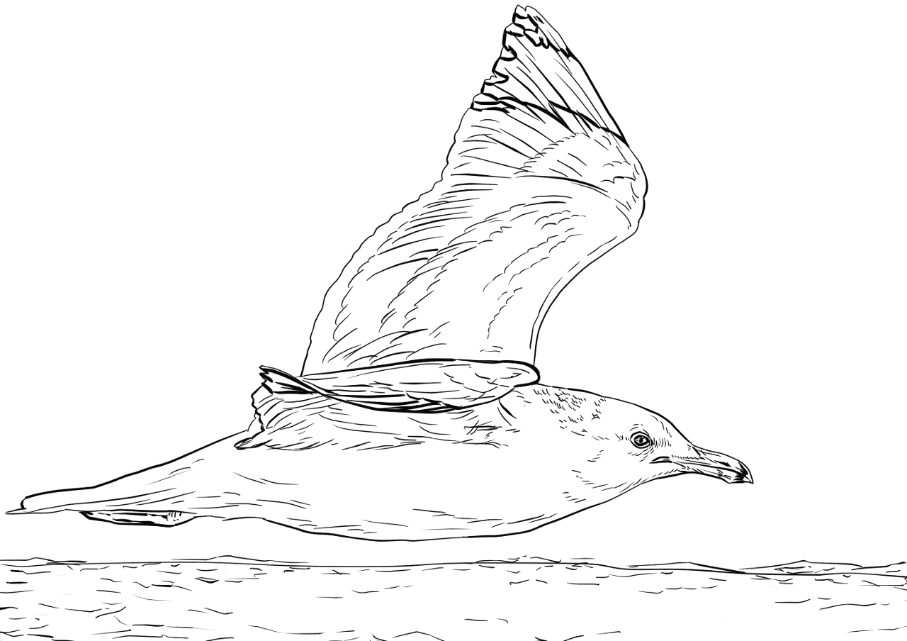 Desenho de Oceano para colorir e imprimir: número 7