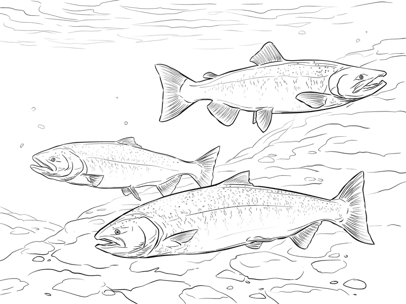 Desenho de Oceano para colorir e imprimir: número 8