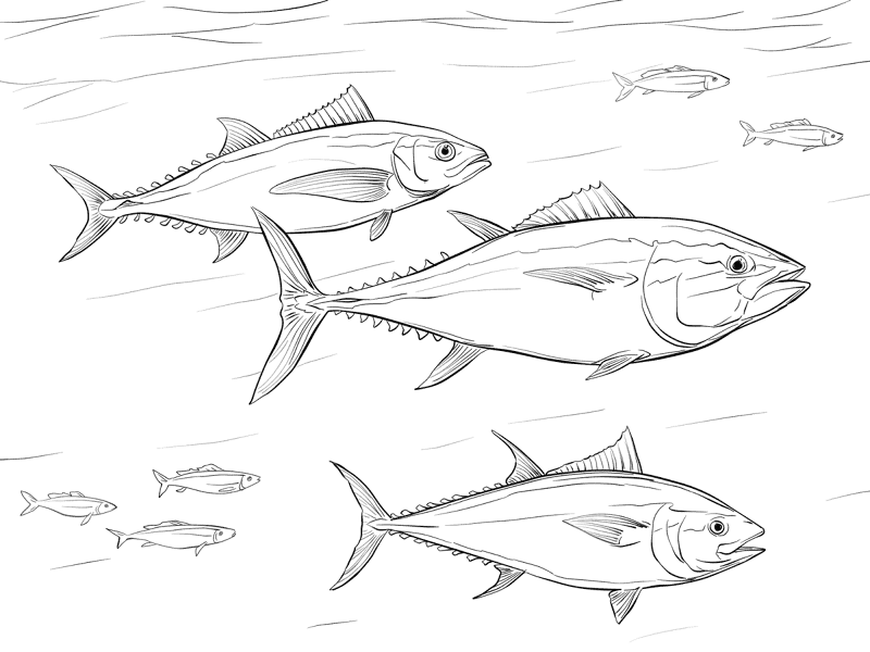 Desenho de Oceano para colorir e imprimir: número 22