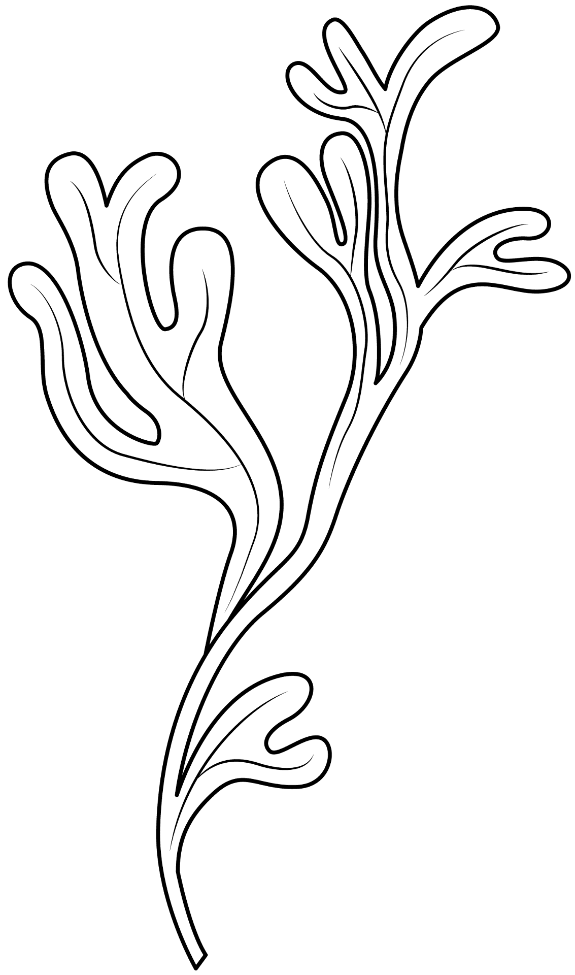 Desenho de Oceano para colorir e imprimir: número 25