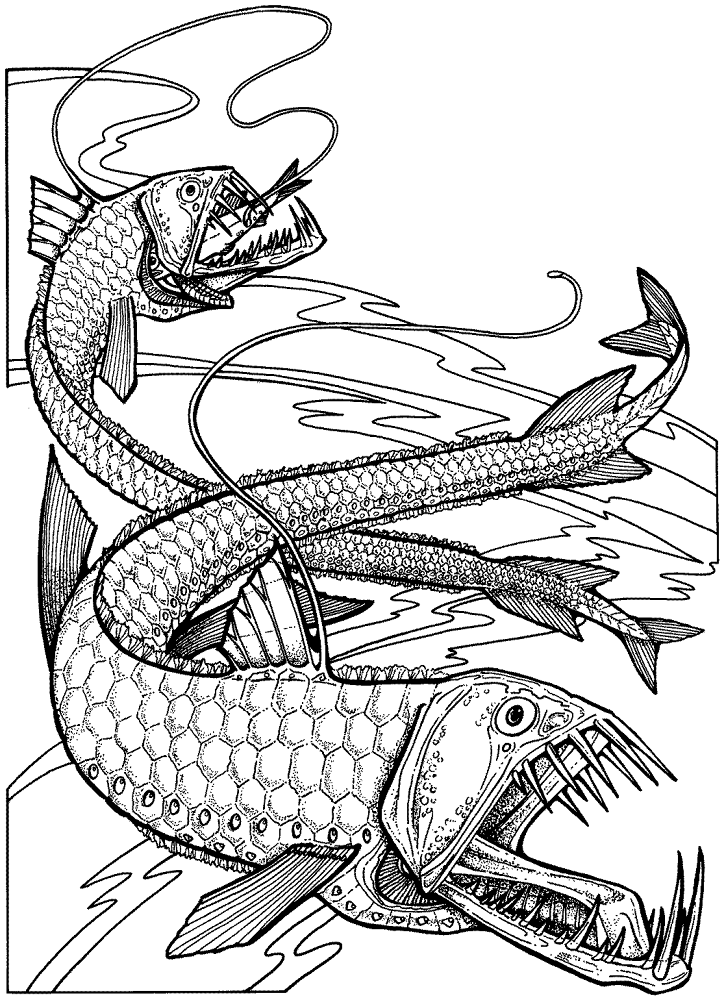 Desenho de Oceano para colorir e imprimir: número 28