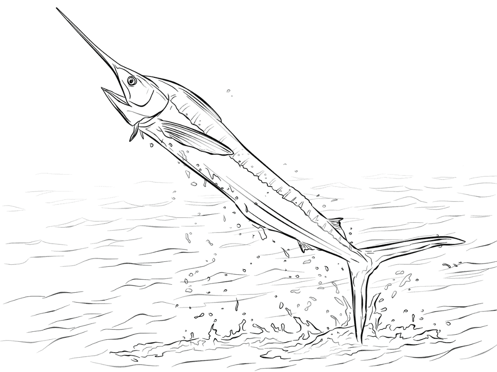 Desenho de Oceano para colorir e imprimir: número 30