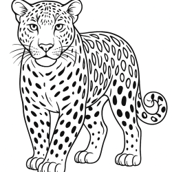 Desenho de Onca para colorir e imprimir: número 3