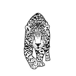 Desenho de Onca para colorir e imprimir: número 7