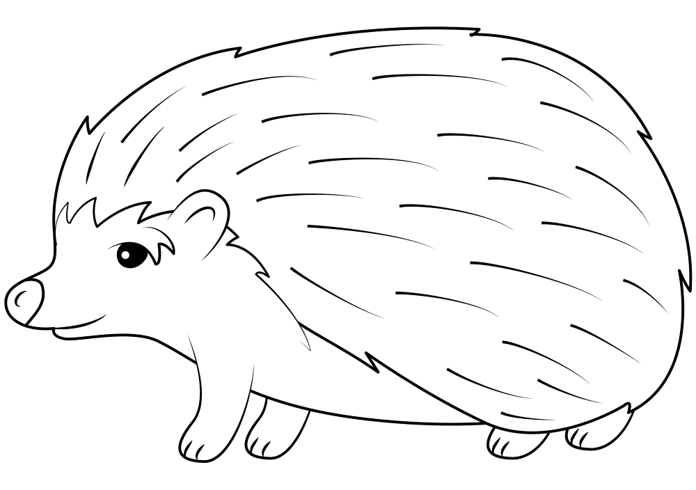 Desenho de Ouriço para colorir e imprimir: número 2