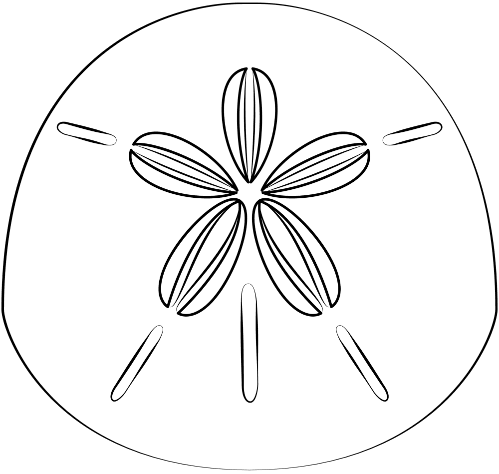 Desenho de Ouriço para colorir e imprimir: número 3