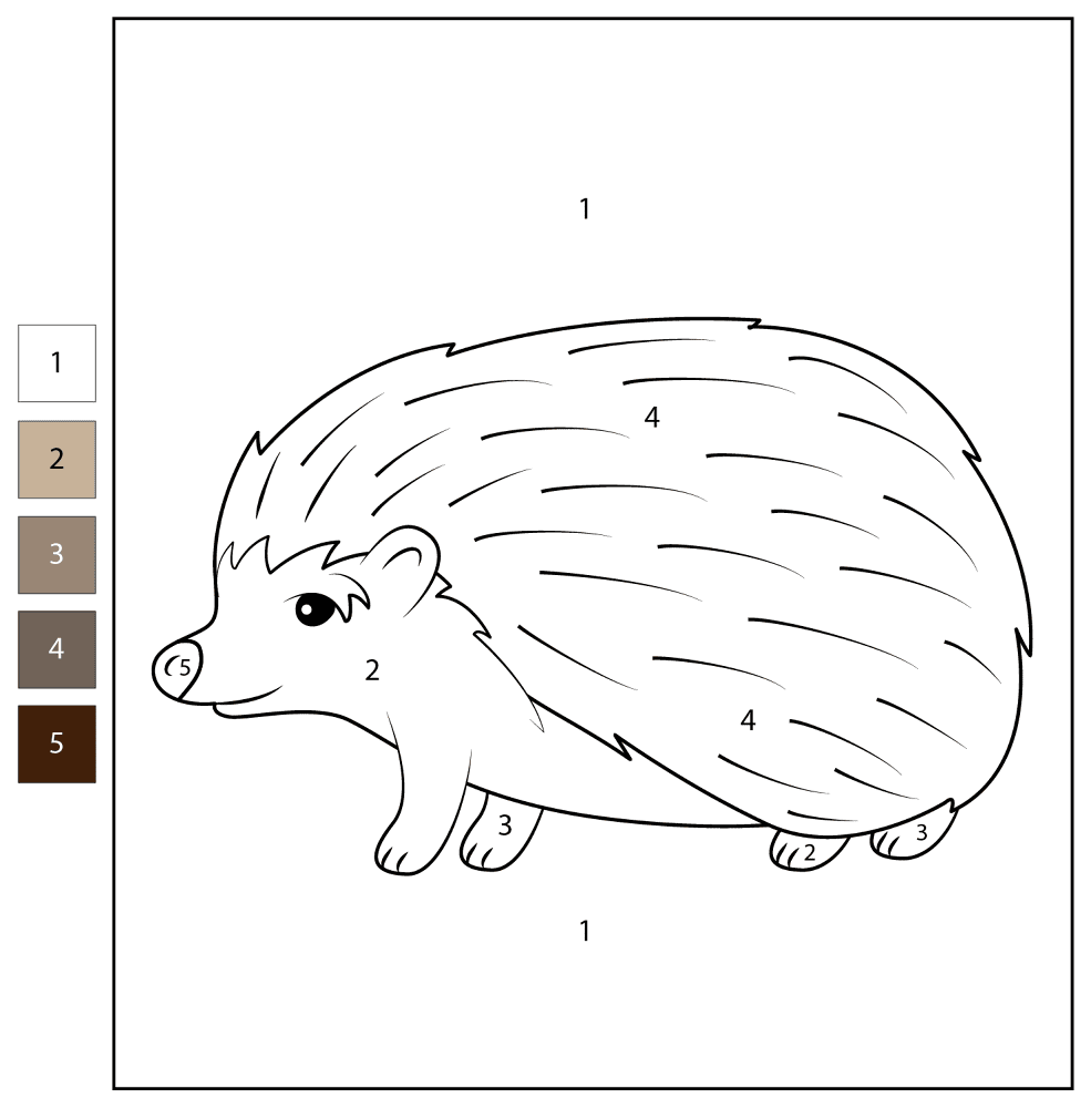 Desenho de Ouriço para colorir e imprimir: número 12