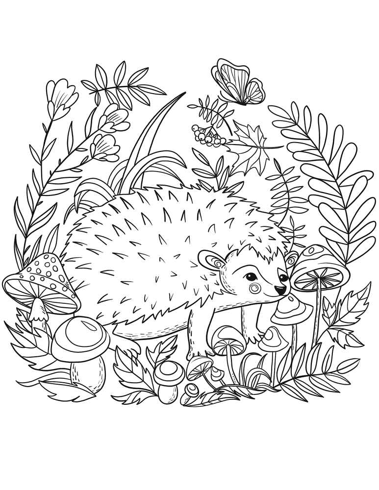 Desenho de Ouriço para colorir e imprimir: número 20