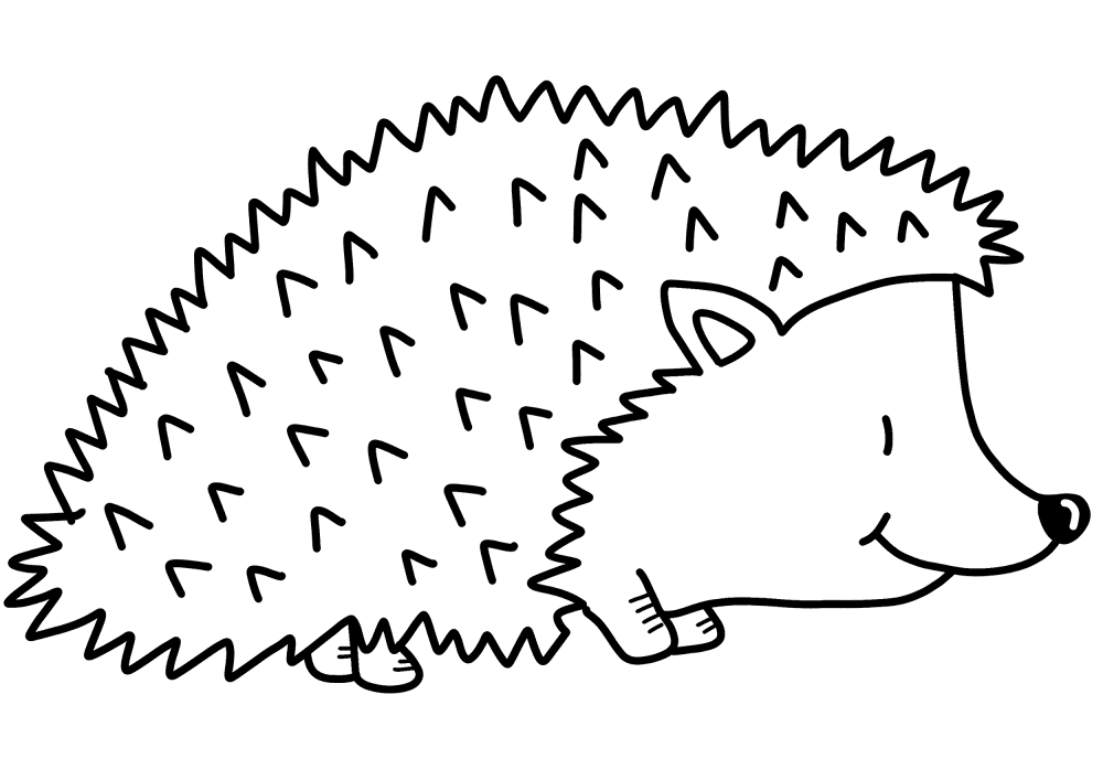 Desenho de Ouriço para colorir e imprimir: número 25