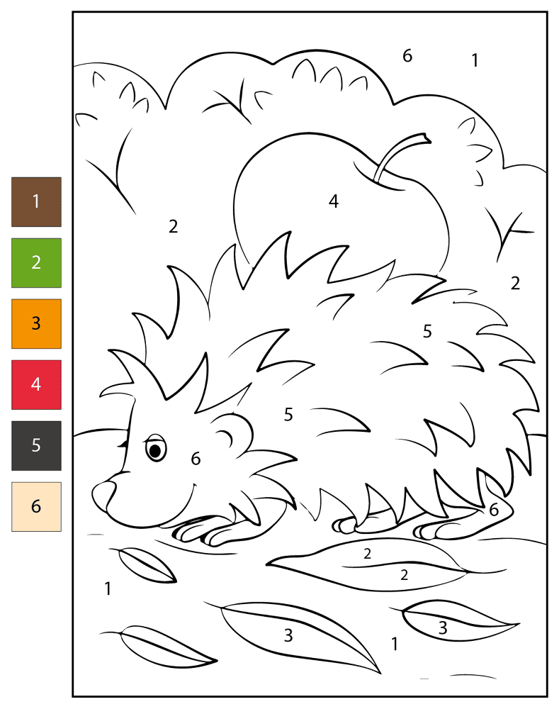 Desenho de Ouriço para colorir e imprimir: número 33