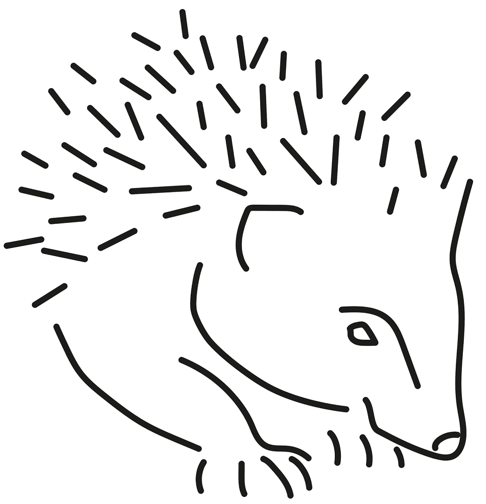Desenho de Ouriço para colorir e imprimir: número 45