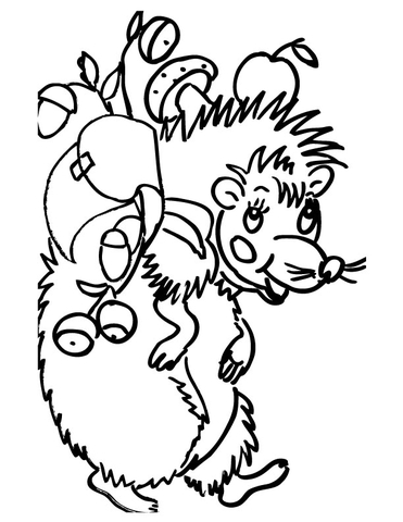 Desenho de Ouriço para colorir