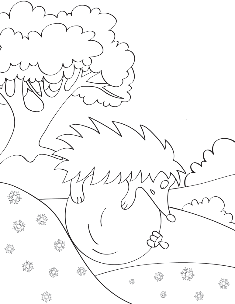 Desenho de Ouriço para colorir
