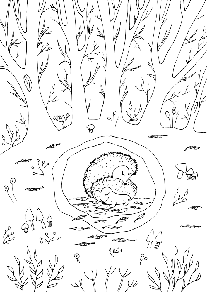 Desenho de Ouriço para colorir