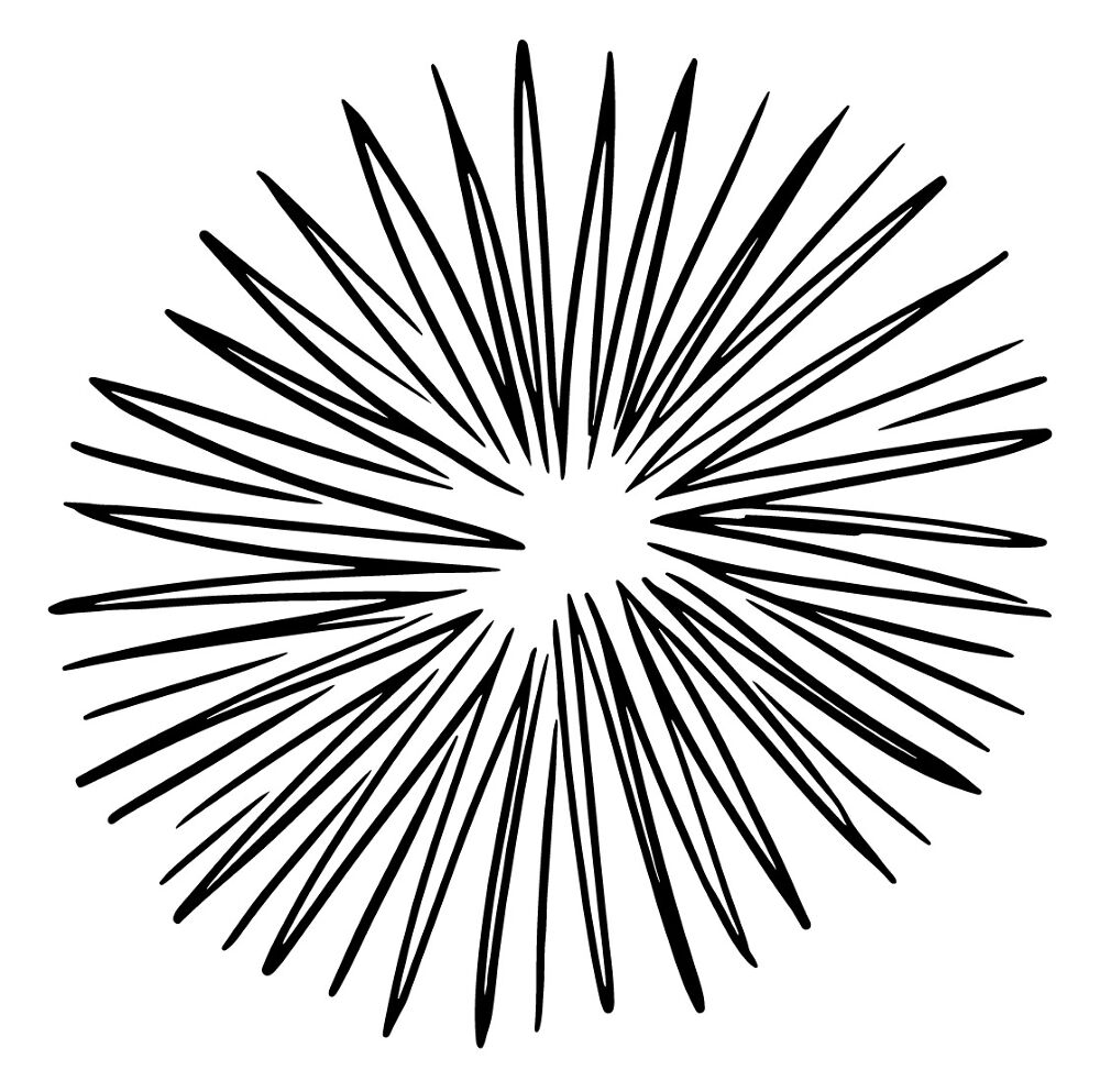 Desenho de Ouriço para colorir