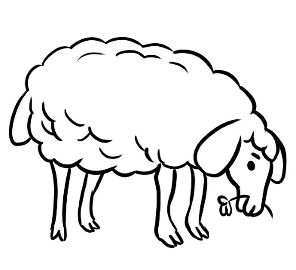 Desenho de Ovelhas para colorir e imprimir: número 24