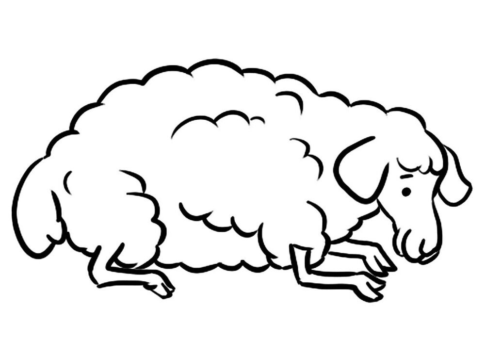 Desenho de Ovelhas para colorir e imprimir: número 37