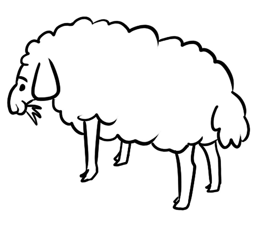 Desenho de Ovelhas para colorir e imprimir: número 38