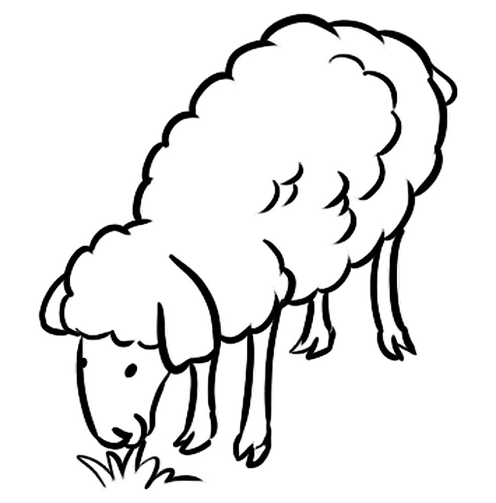 Desenho de Ovelhas para colorir e imprimir: número 39