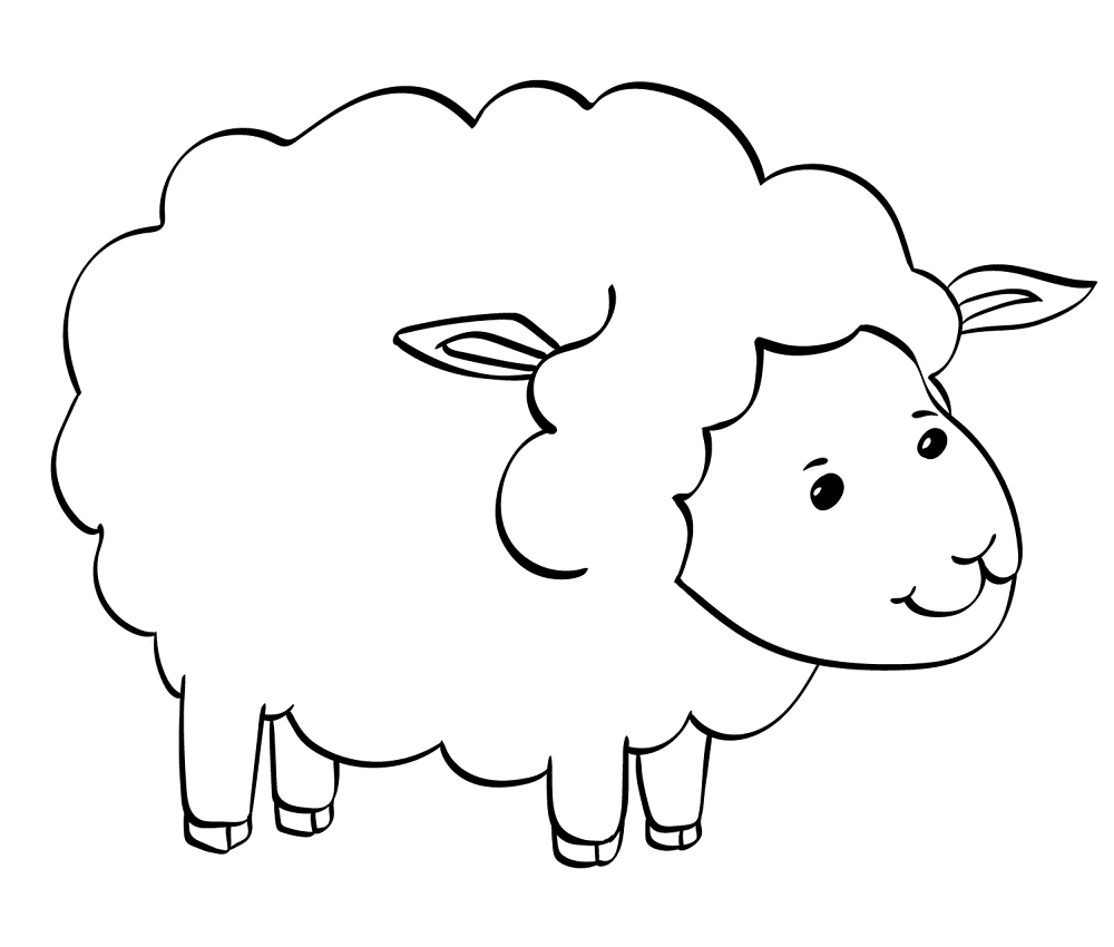 Desenho de Ovelhas para colorir