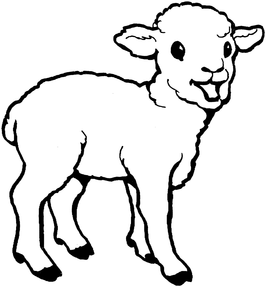 Desenho de Ovelhas para colorir