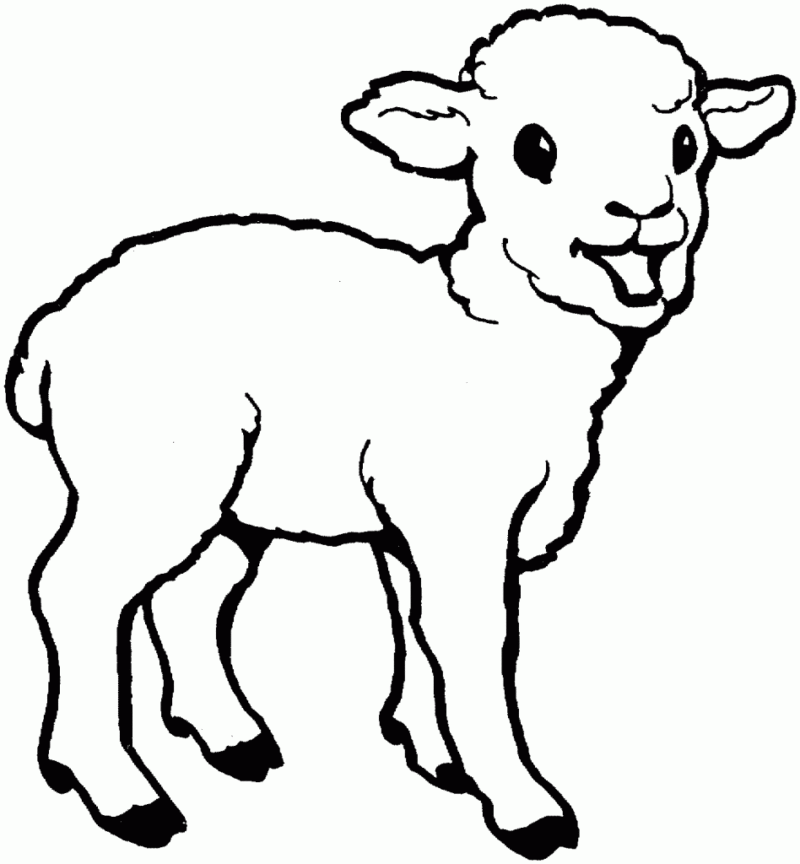 Desenho de Ovelhas para colorir