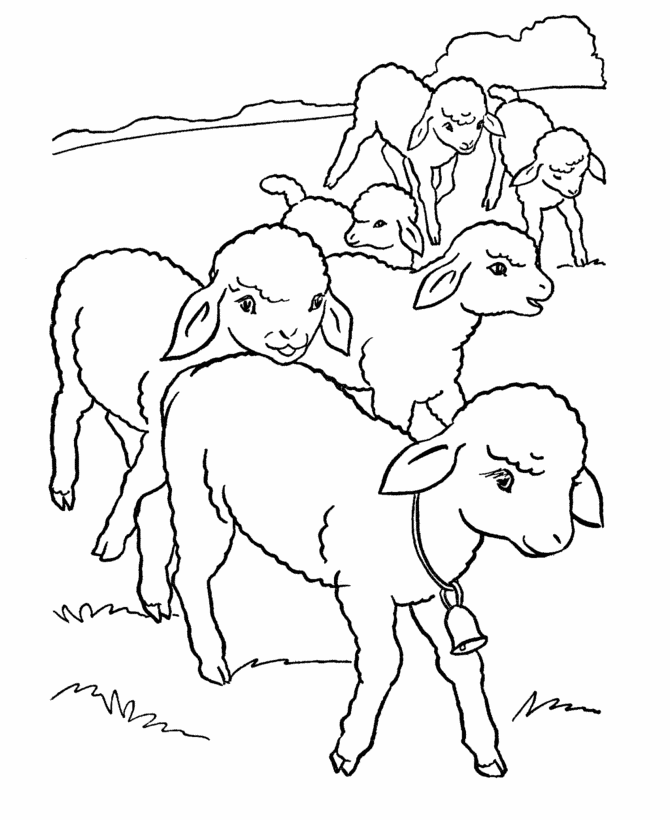 Desenho de Ovelhas para colorir