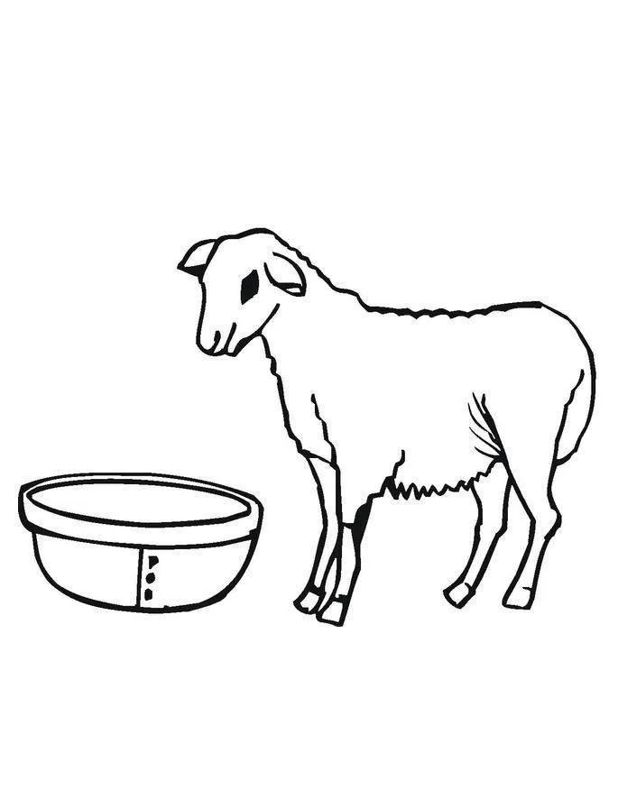 Desenho de Ovelhas para colorir