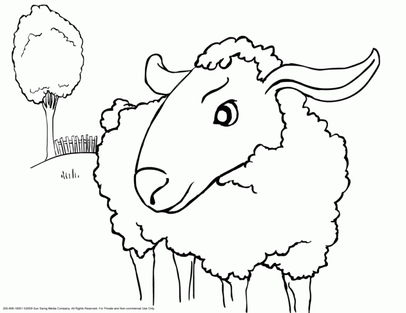 Desenho de Ovelhas para colorir