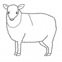 Desenho de Ovelhas para colorir