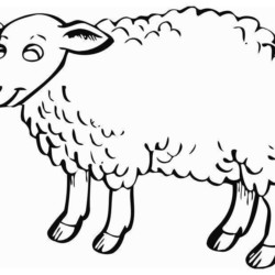 Desenho de Ovelhas para colorir