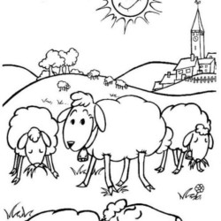 Desenho de Ovelhas para colorir
