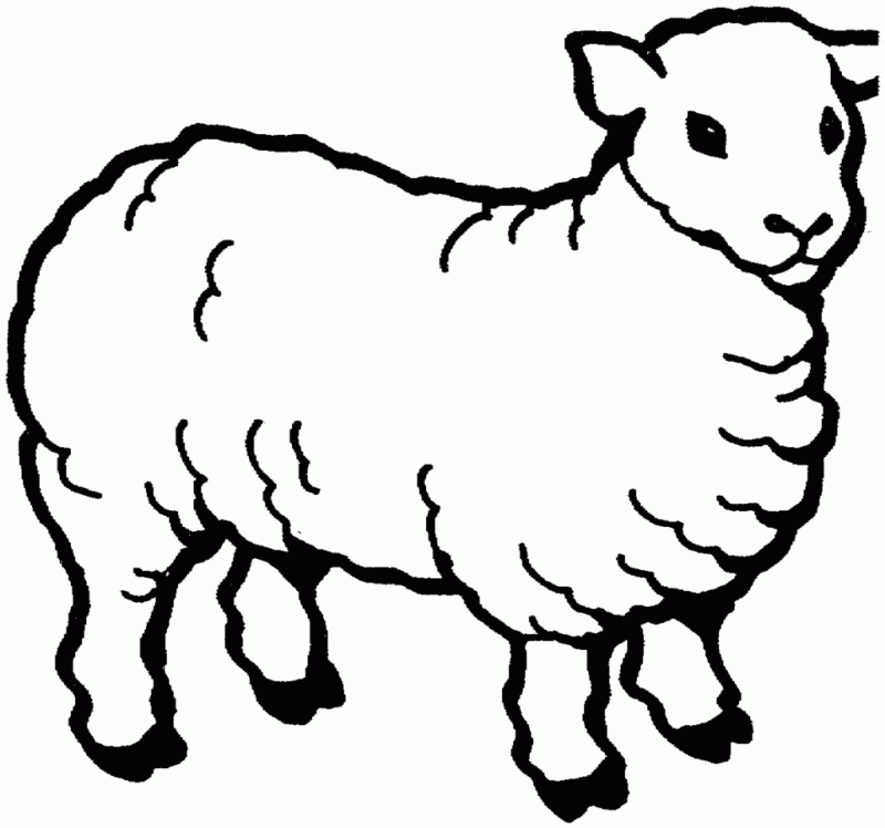 Desenho de Ovelhas para colorir