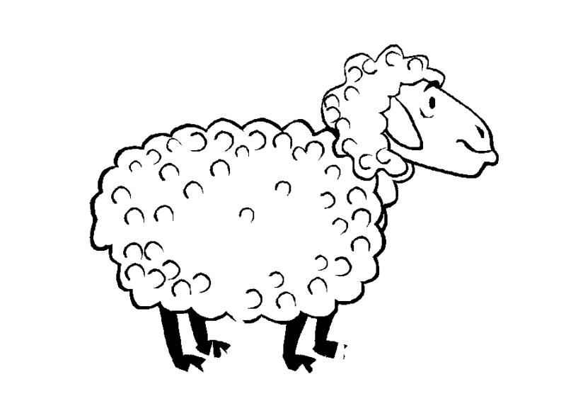 Desenho de Ovelhas para colorir