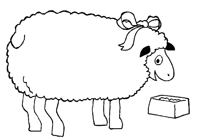 Desenho de Ovelhas para colorir