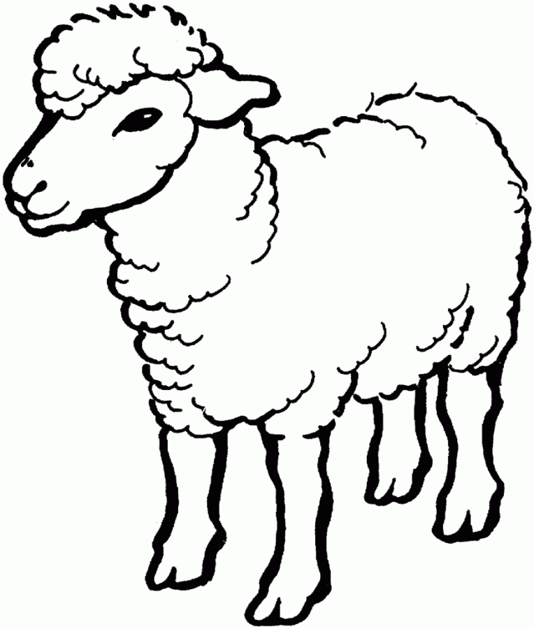 Desenho de Ovelhas para colorir