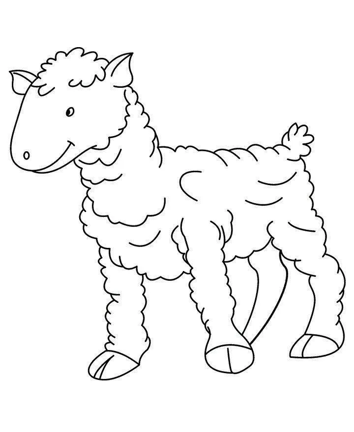 Desenho de Ovelhas para colorir