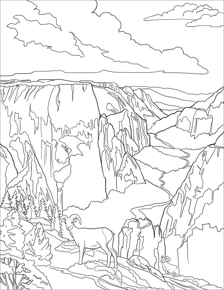 Desenho de Ovelhas para colorir