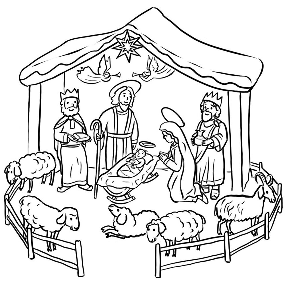 Desenho de Ovelhas para colorir