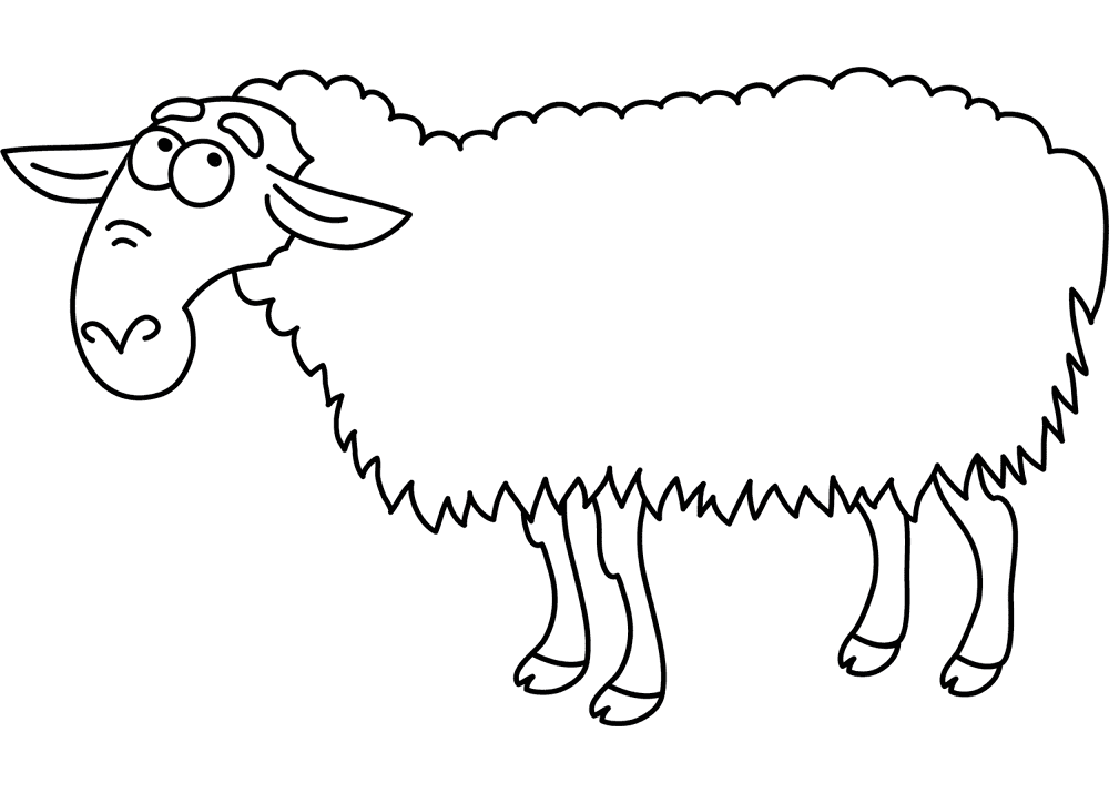 Desenho de Ovelhas para colorir