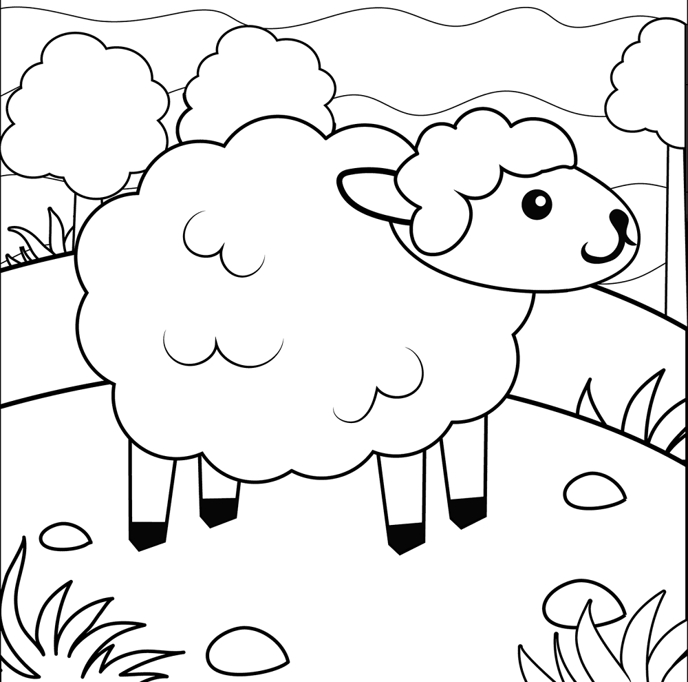 Desenho de Ovelhas para colorir