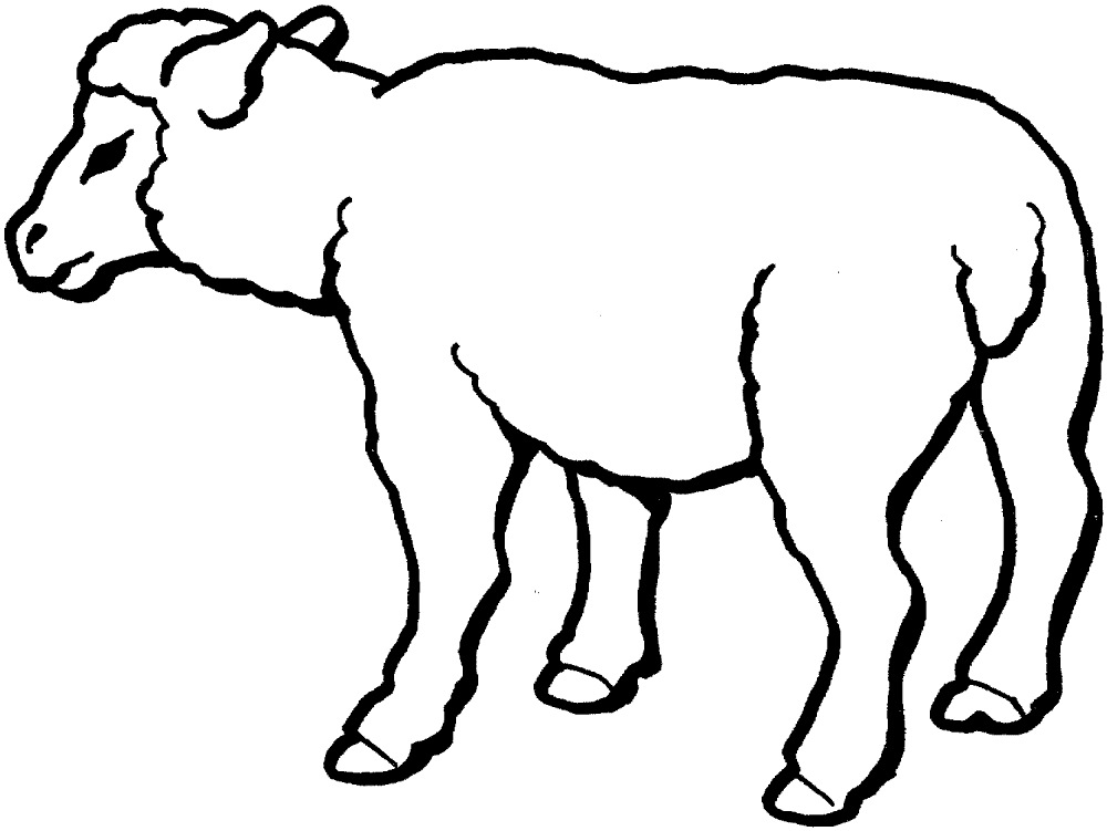 Desenho de Ovelhas para colorir