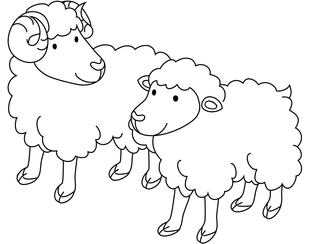 Desenho de Ovelhas para colorir