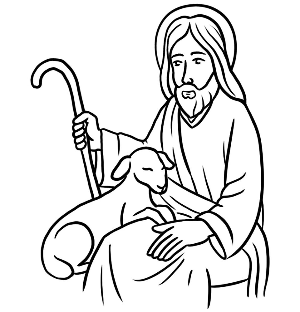 Desenho de Ovelhas para colorir