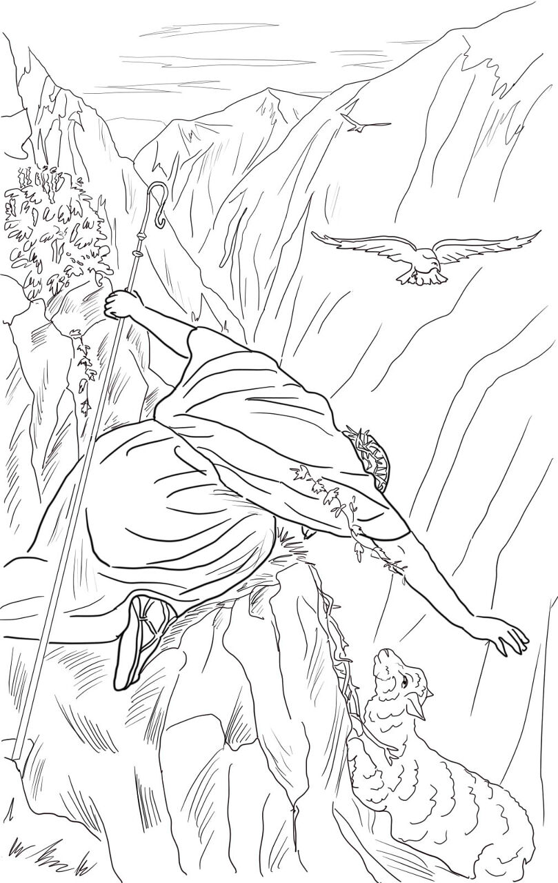 Desenho de Ovelhas para colorir