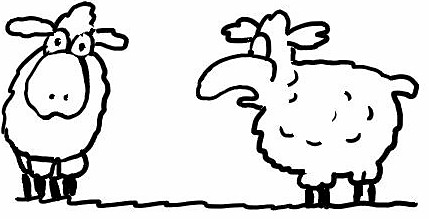 Desenho de Ovelhas para colorir