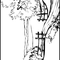 Desenho de Paisagens para colorir e imprimir: número 2