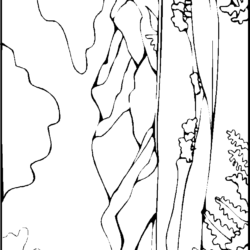 Desenho de Paisagens para colorir e imprimir: número 3